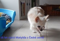 /album/nase-odchovy-ve-stari-u-vas/dscn3261-jpg/